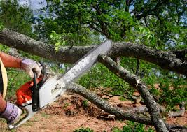 Best Lawn Drainage Solutions  in Burnt Mills, MD