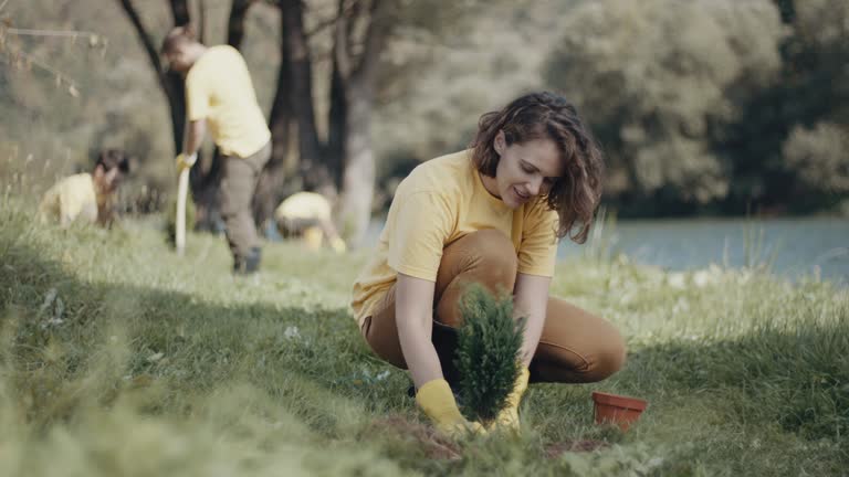 Best Lawn Irrigation Installation and Maintenance  in Burnt Mills, MD