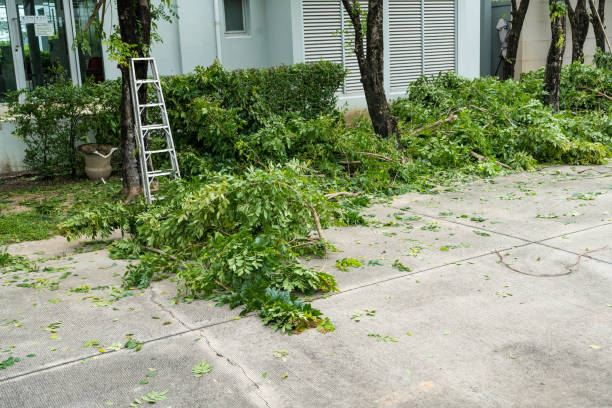 Best Utility Line Clearance  in Burnt Mills, MD